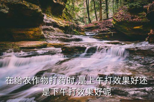 在給農作物打藥時,是上午打效果好還是下午打效果好呢