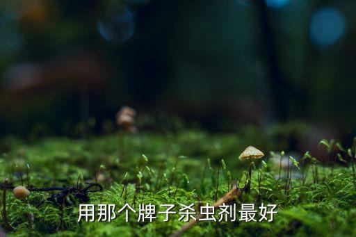 殺死害蟲用什么農(nóng)藥好用,給農(nóng)作物噴灑農(nóng)藥可以殺死害蟲