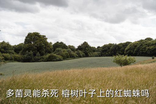多菌靈能殺死 榕樹葉子上的紅蜘蛛嗎