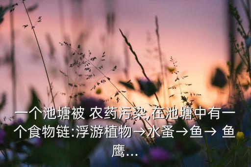 一個池塘被 農藥污染,在池塘中有一個食物鏈:浮游植物→水蚤→魚→ 魚鷹...