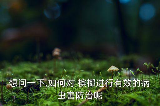 想問一下,如何對 檳榔進行有效的病蟲害防治呢