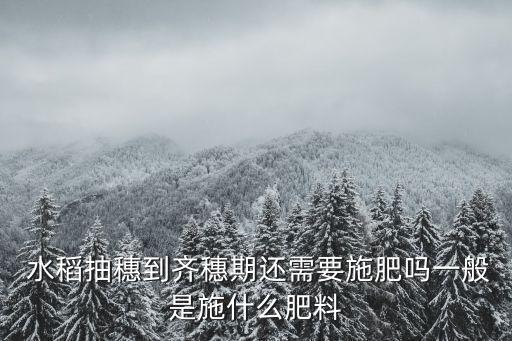  水稻抽穗到齊穗期還需要施肥嗎一般是施什么肥料