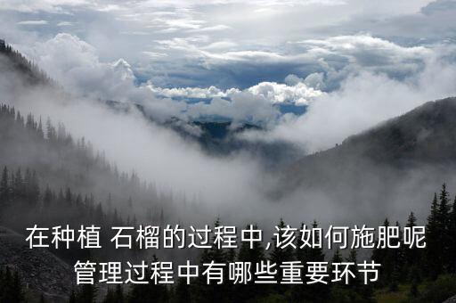在種植 石榴的過程中,該如何施肥呢管理過程中有哪些重要環節