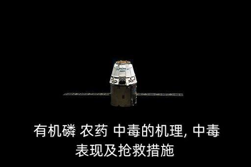 有機農藥中毒的原理是什么,有機磷酸酯類農藥中毒的機制是什么
