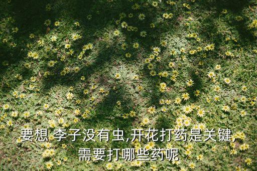 李子農藥什么時候打,李子打農藥多嗎