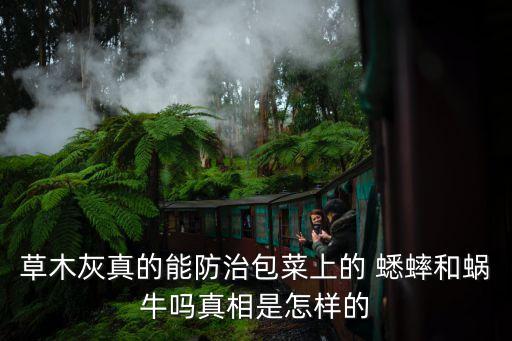 什么農藥對蟋蟀效果好,蟋蟀用什么農藥噴死
