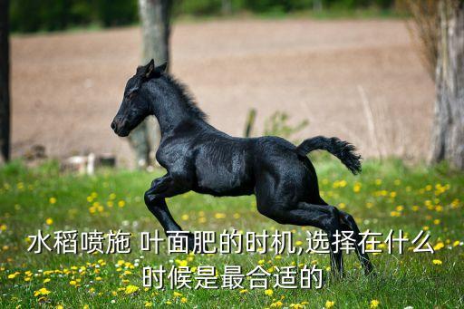 葉面肥什么時(shí)候加農(nóng)藥,玉米葉面肥什么時(shí)候打效果好
