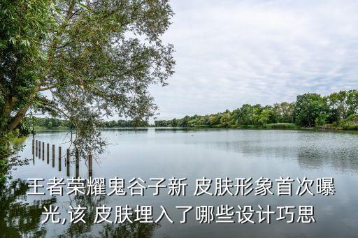 王者農藥的新皮膚叫什么
