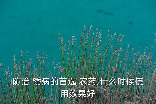 防治 銹病的首選 農藥,什么時候使用效果好