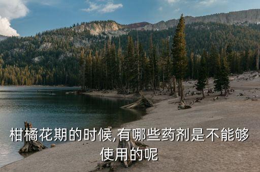 柑橘花期的時候,有哪些藥劑是不能夠使用的呢