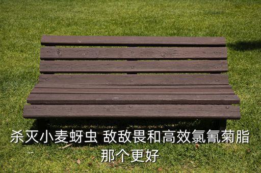 殺滅小麥蚜蟲 敵敵畏和高效氯氰菊脂那個更好