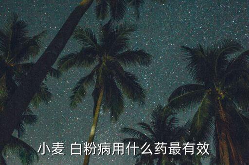 小麥 白粉病用什么藥最有效