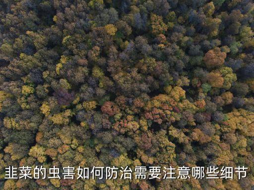 酒菜打什么農(nóng)藥