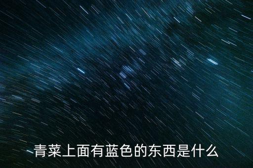 青菜上面有藍(lán)色的東西是什么