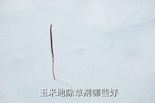  玉米地除草劑哪些好