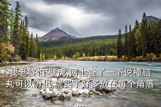 我老婆怕 壁虎,網(wǎng)上查了一下說樟腦丸可以防止,就買了好多放在每個(gè)角落...