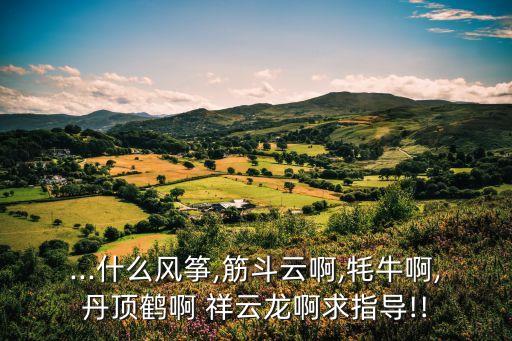 祥云龍什么 農藥 什么手,農藥的龍什么大什么