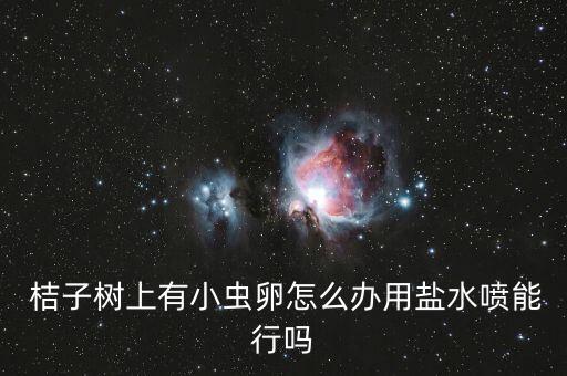 桔子銹壁虱用什么農藥