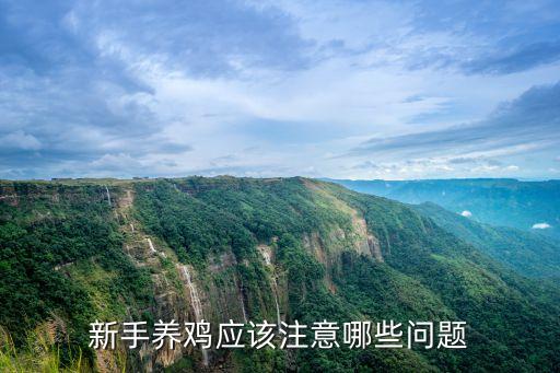 農藥為什么不能孵化小雞,人為什么不能孵化小雞