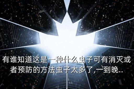 有誰知道這是一種什么蟲子可有消滅或者預防的方法蟲子太多了,一到晚...