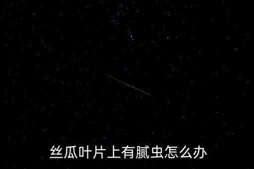 絲瓜用什么農藥殺死病蟲害,絲瓜有什么病蟲害