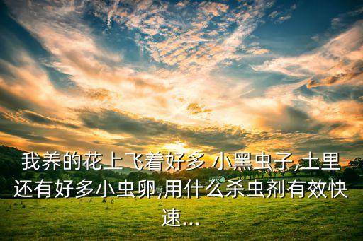 防治小黑飛蟲用什么農藥,吡蟲啉防治小黑飛蟲的方法