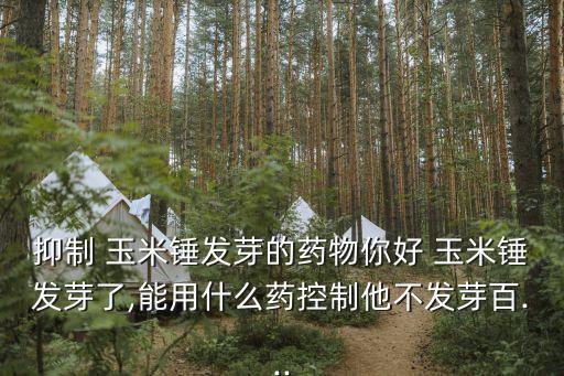 什么農藥可以讓玉米停長,玉米治蟲用什么農藥好
