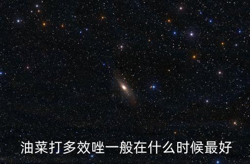  油菜打多效唑一般在什么時候最好