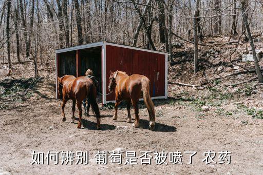 葡萄為什么沒打過農藥