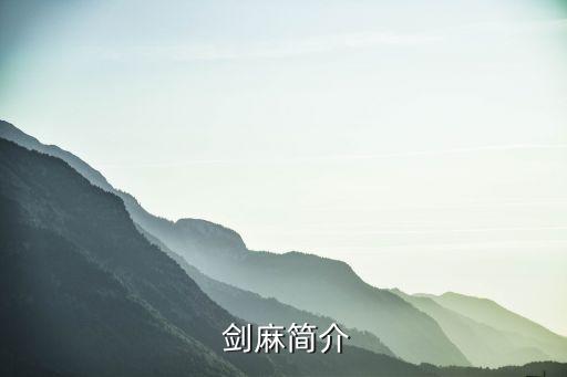  劍麻簡介