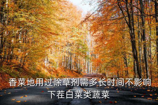  香菜地用過除草劑需多長時間不影響下茬白菜類蔬菜