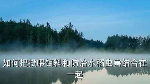 如何把投喂餌料和防治水稻蟲害結(jié)合在一起