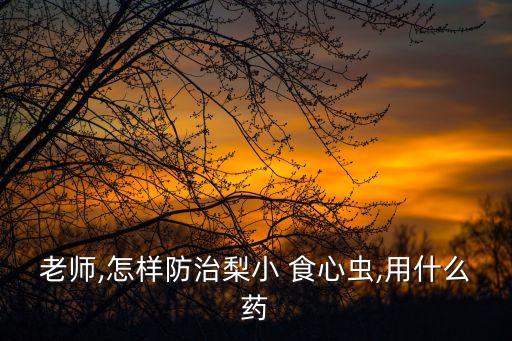 什么農藥殺死食心蟲的卵,食心蟲用什么農藥