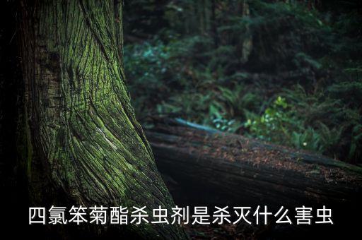 什么農藥對同翅目特效,纓翅目用什么農藥防治