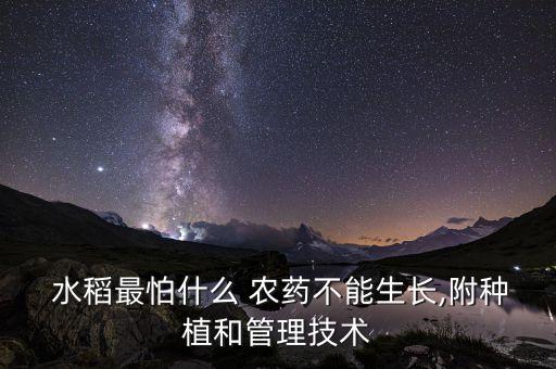 水稻農(nóng)藥什么時(shí)間打效果最好,什么農(nóng)藥要水稻