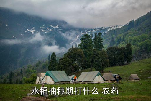 種地之前打什么農(nóng)藥,種地不打農(nóng)藥