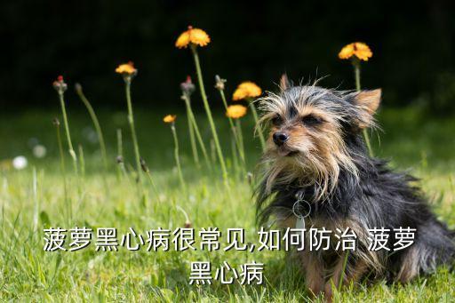 除草但菠蘿不死是什么農藥