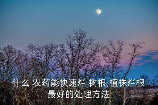 殺死樹(shù)根用什么農(nóng)藥好,殺死大樹(shù)的最好最快的農(nóng)藥