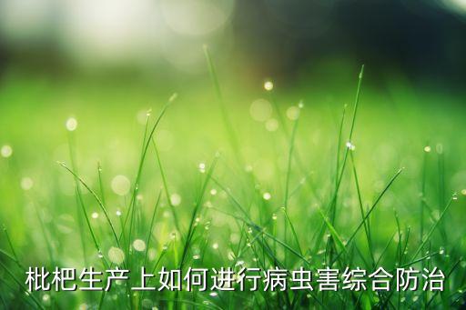  枇杷生產上如何進行病蟲害綜合防治