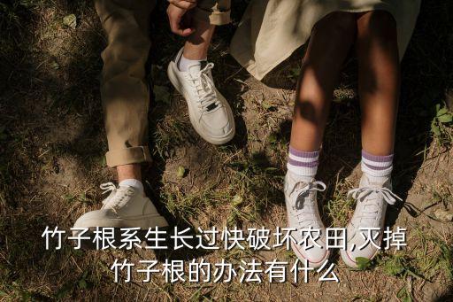 什么農(nóng)藥可除竹子和樹(shù)木,有沒(méi)有什么農(nóng)藥可以殺死竹子