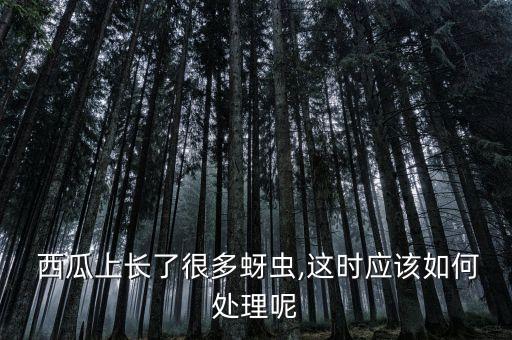大田西瓜打什么農(nóng)藥防蟲(chóng),西瓜一般打什么農(nóng)藥