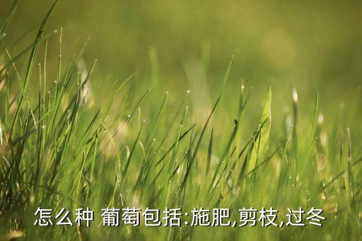 怎么種 葡萄包括:施肥,剪枝,過冬