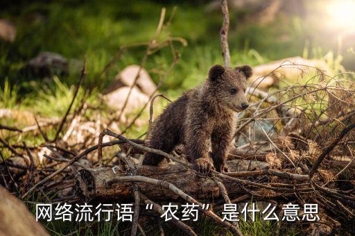 網絡流行語“ 農藥”是什么意思