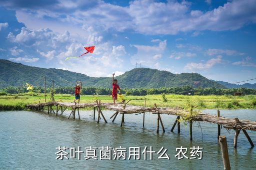 茶葉真菌病用什么 農藥