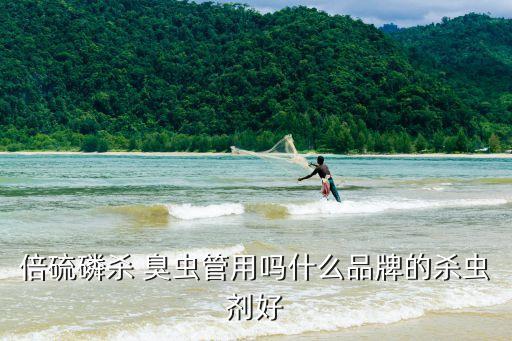 地里有臭蟲用什么農藥好,什么農藥能殺死臭蟲