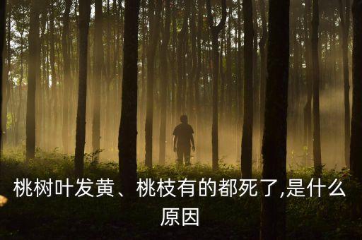 桃樹葉發黃、桃枝有的都死了,是什么原因