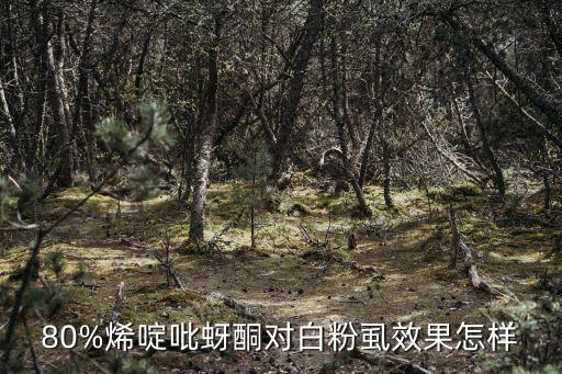80%烯啶吡蚜酮對白粉虱效果怎樣