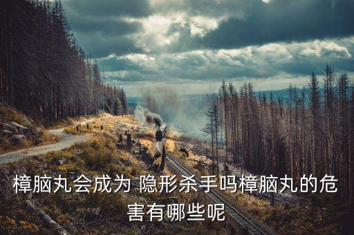 樟腦丸會成為 隱形殺手嗎樟腦丸的危害有哪些呢