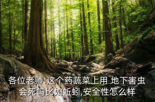 各位老師:這個藥蔬菜上用 地下害蟲會死嗎比如蚯蚓,安全性怎么樣