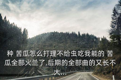 種 苦瓜怎么打理不給蟲吃我能的 苦瓜全部火蘭了,后期的全部曲的又長不大...
